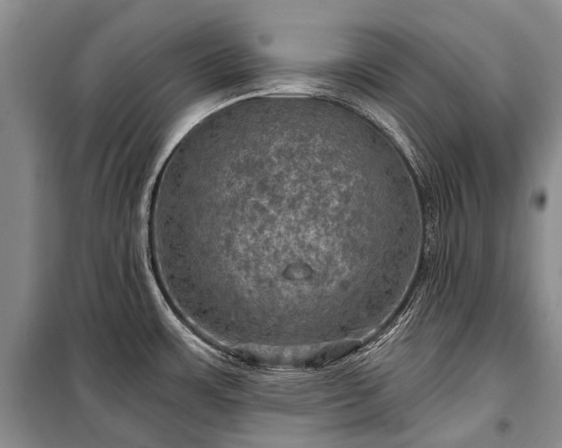 X0000100371483200806131026