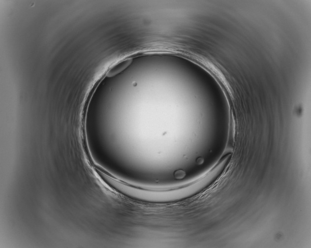 X0000100371485200806131026