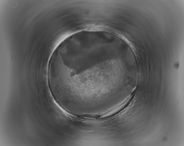 X0000100371487200806131026