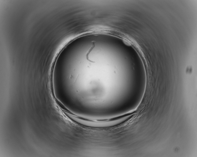 X0000100371488200806131026