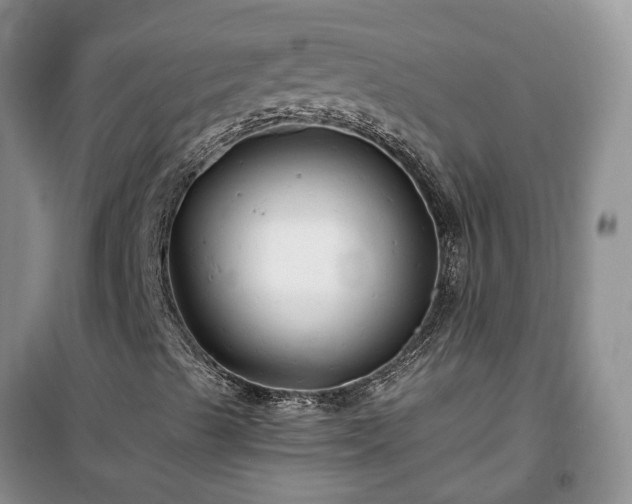 X0000100371489200806131025