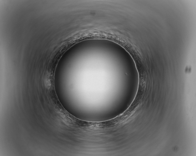 X0000100371490200806131025