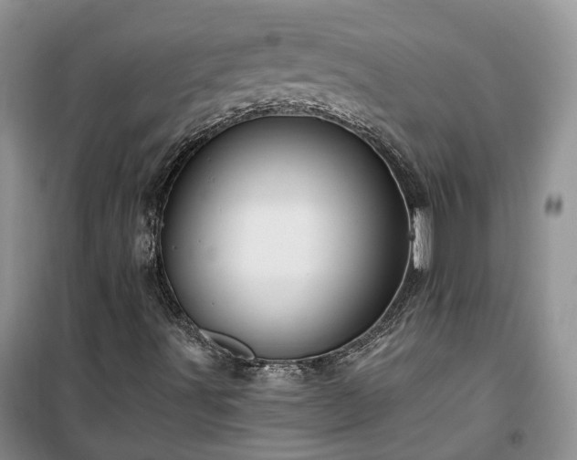 X0000100371491200806131025