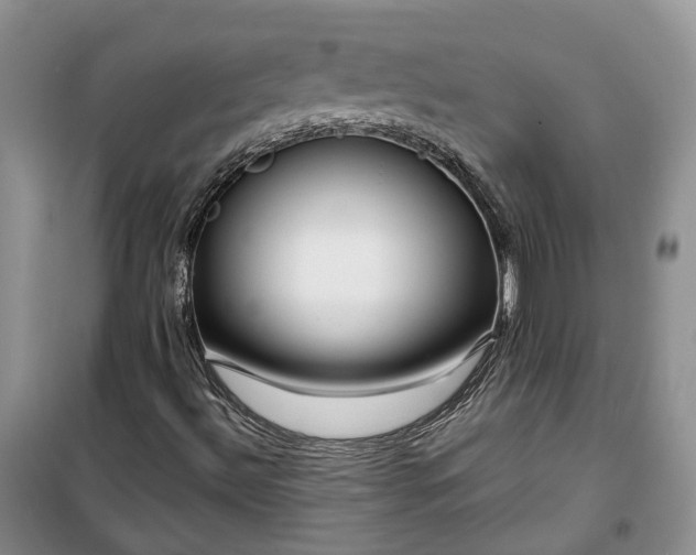 X0000100371492200806131025