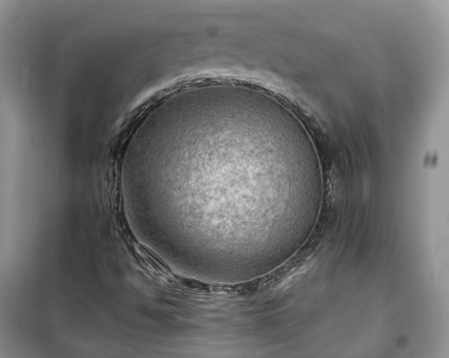 X0000100371494200806131025