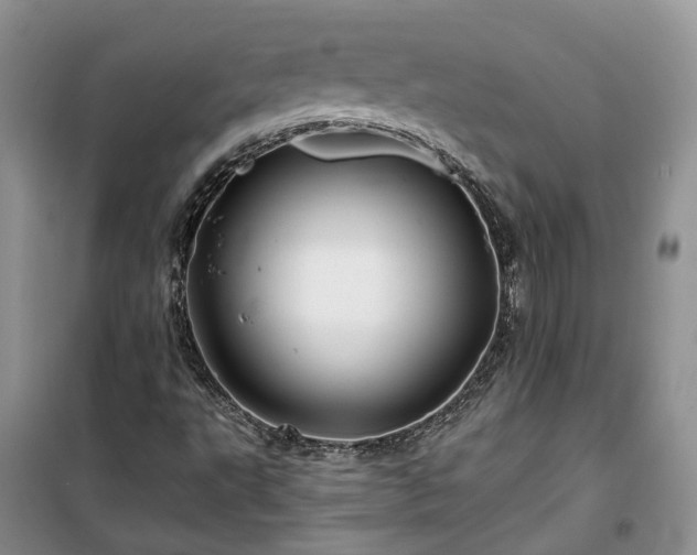 X0000100371495200806131025