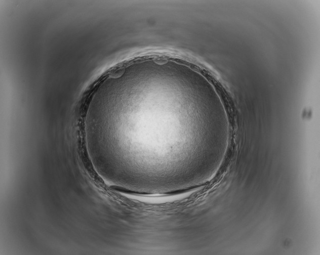 X0000100371496200806131025