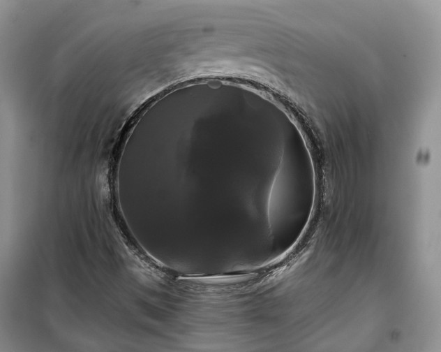 X0000100371497200806131025