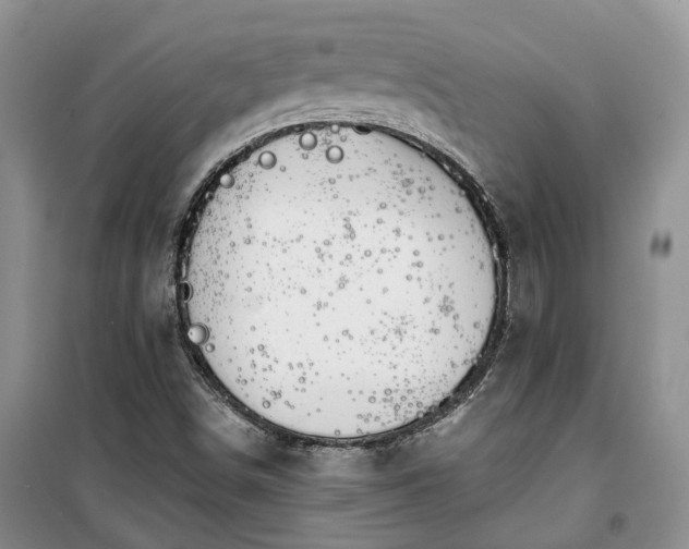 X0000100371498200806131025