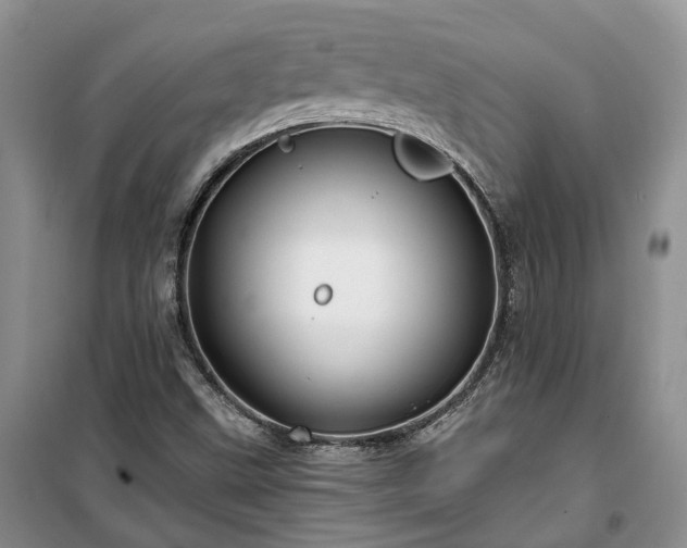 X0000100371499200806131025