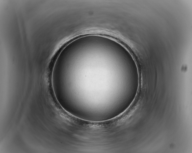 X0000100371501200806131025