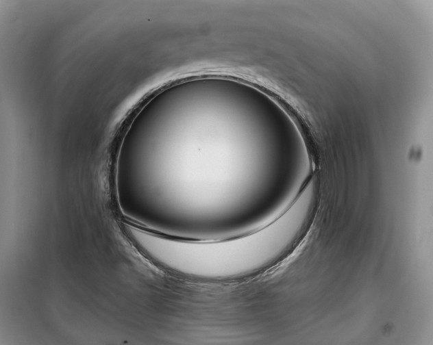 X0000100371502200806131025