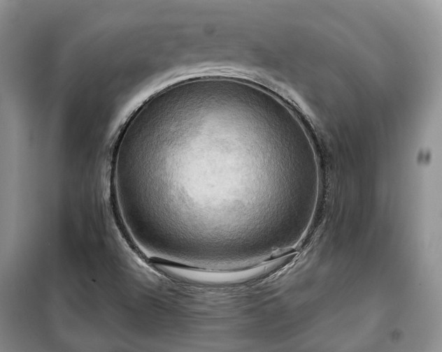 X0000100371504200806131025