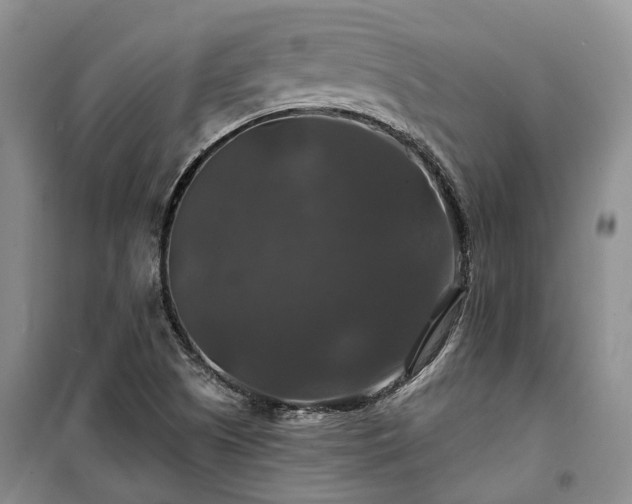 X0000100371505200806131025