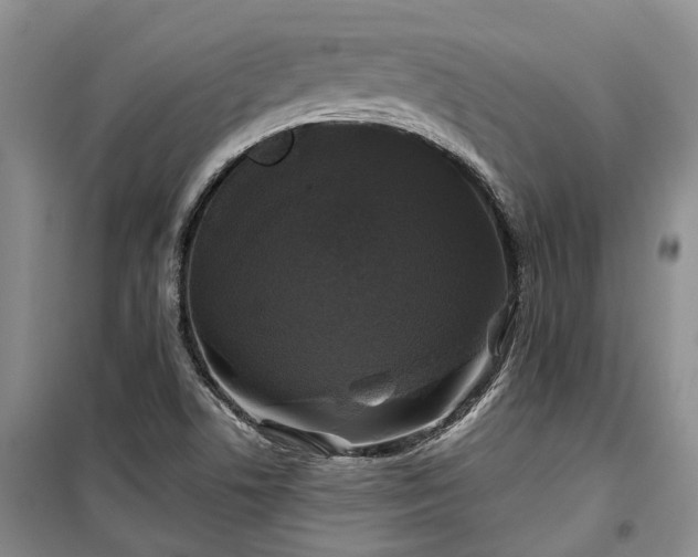 X0000100371506200806131025