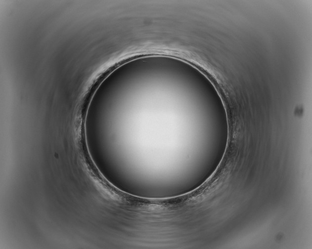 X0000100371507200806131025