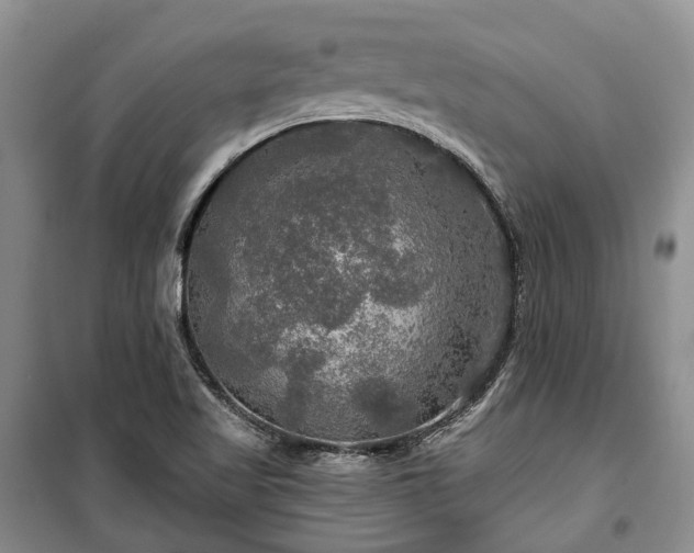 X0000100371509200806131025