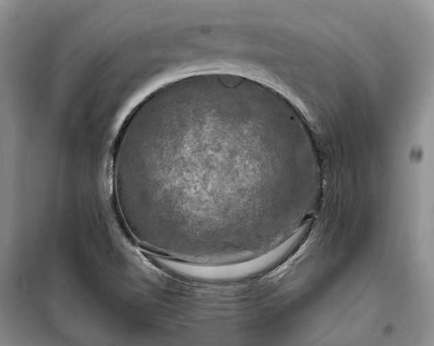 X0000100371510200806131025