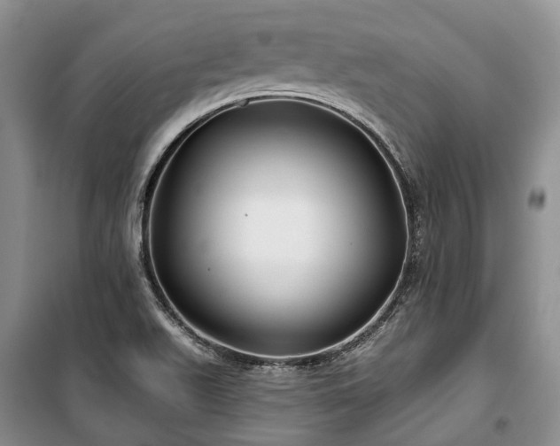 X0000100371511200806131025