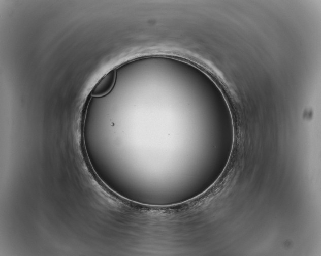 X0000100371512200806131025