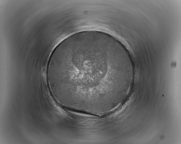 X0000100371513200806131025