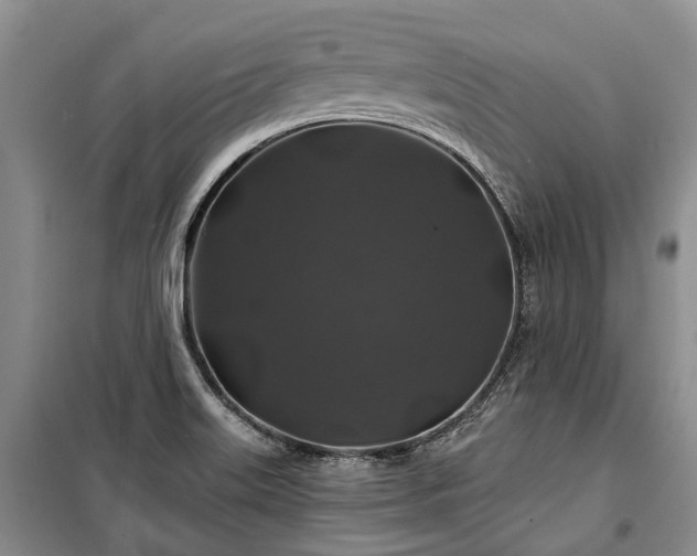 X0000100371515200806131025