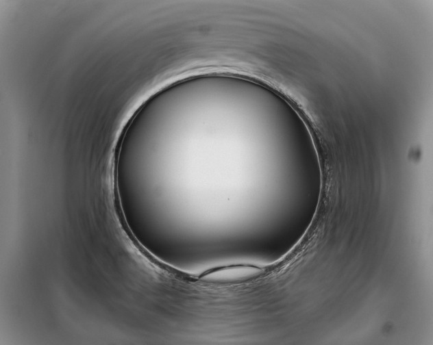 X0000100371516200806131025