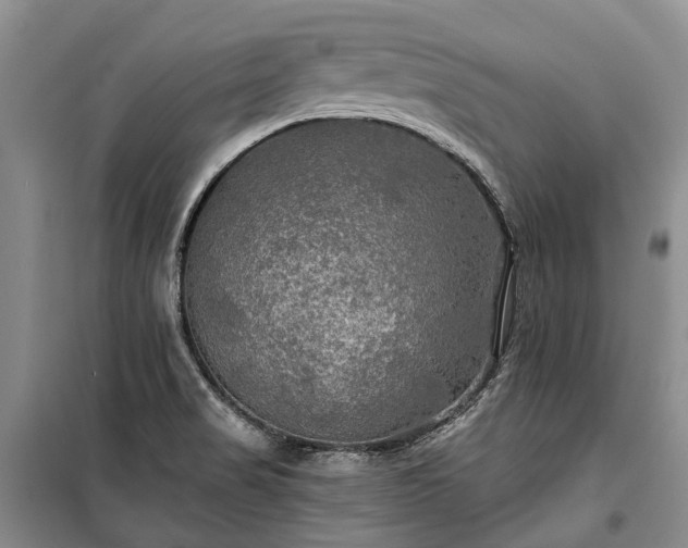 X0000100371517200806131025