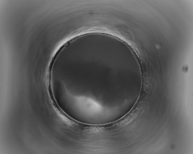 X0000100371519200806131025