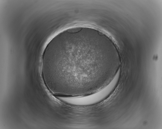 X0000100371520200806131025