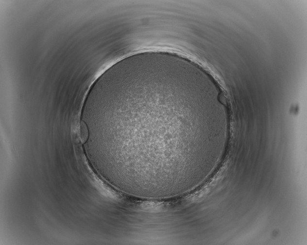 X0000100371521200806131026