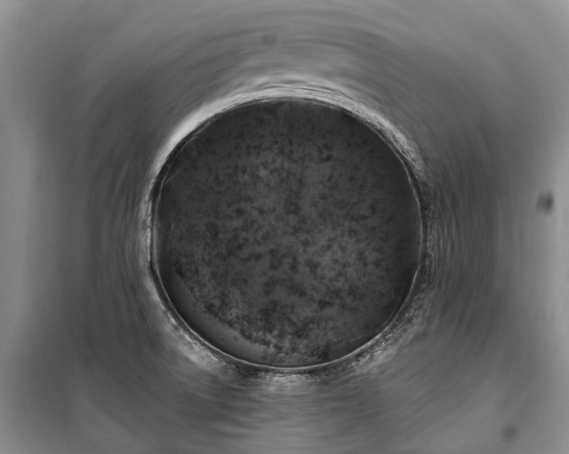 X0000100371522200806131026