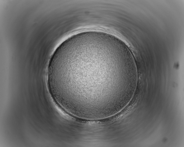 X0000100371523200806131026