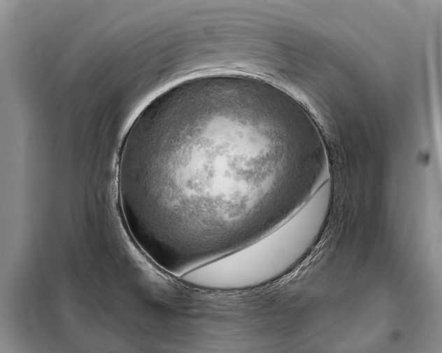 X0000100371524200806131026