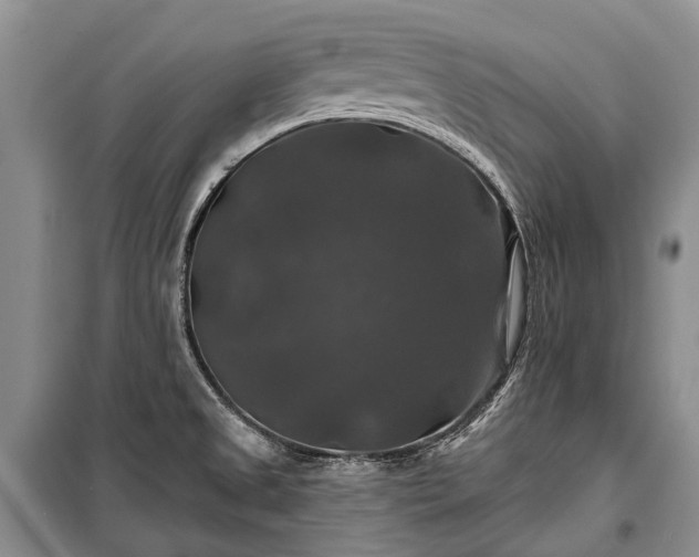 X0000100371525200806131026