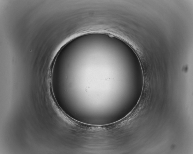 X0000100371526200806131026