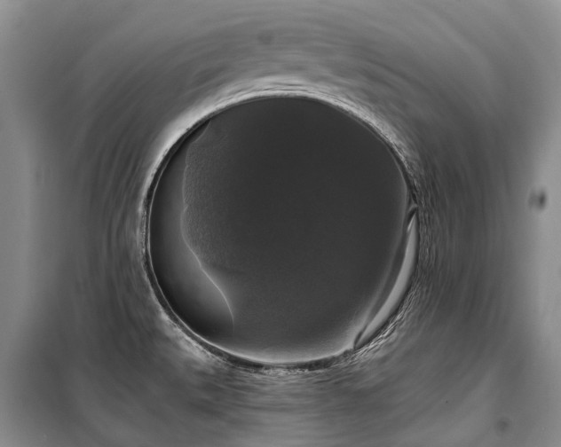 X0000100371527200806131026