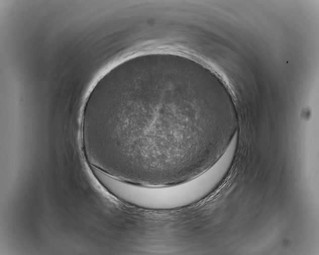 X0000100371528200806131026