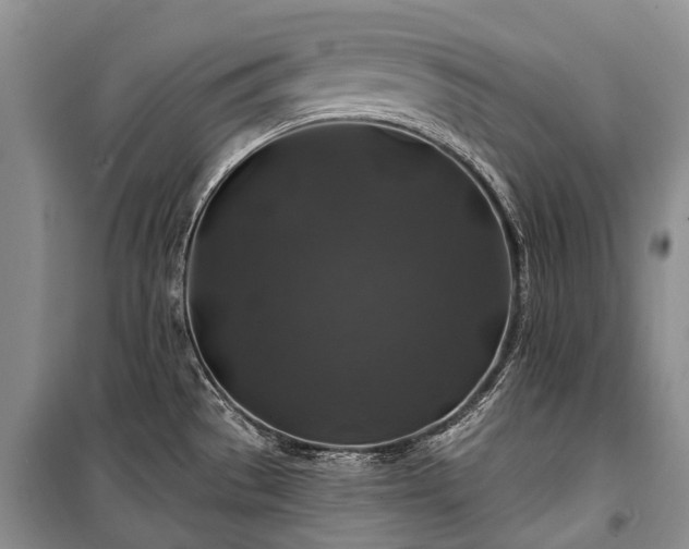 X0000100371529200806131026