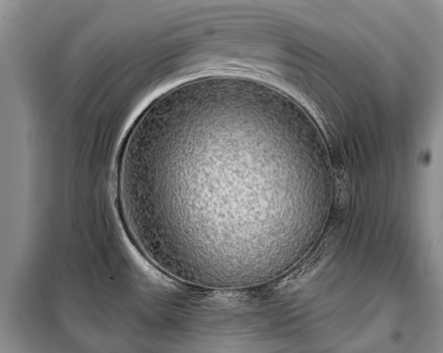 X0000100371531200806131026