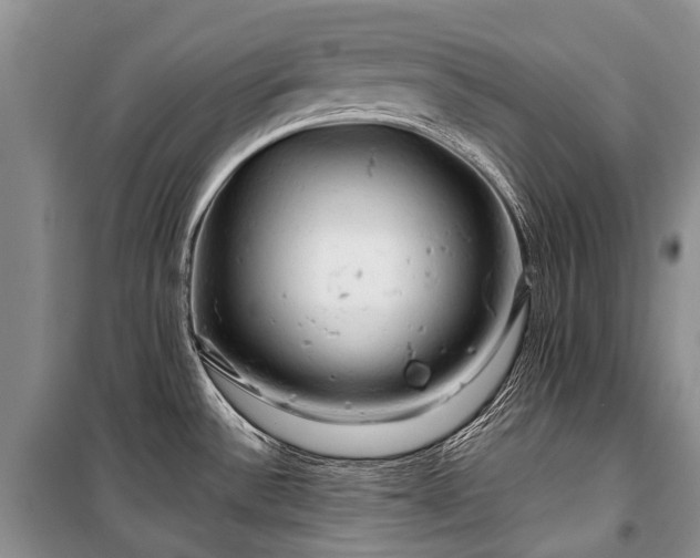 X0000100371532200806131026