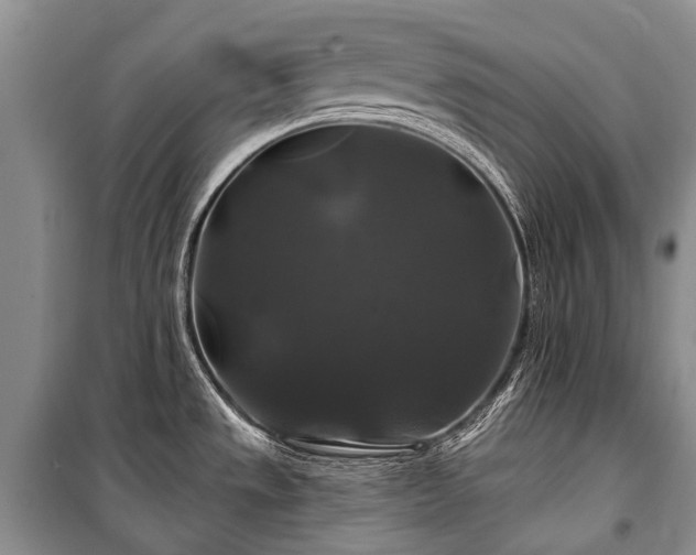 X0000100371533200806131026