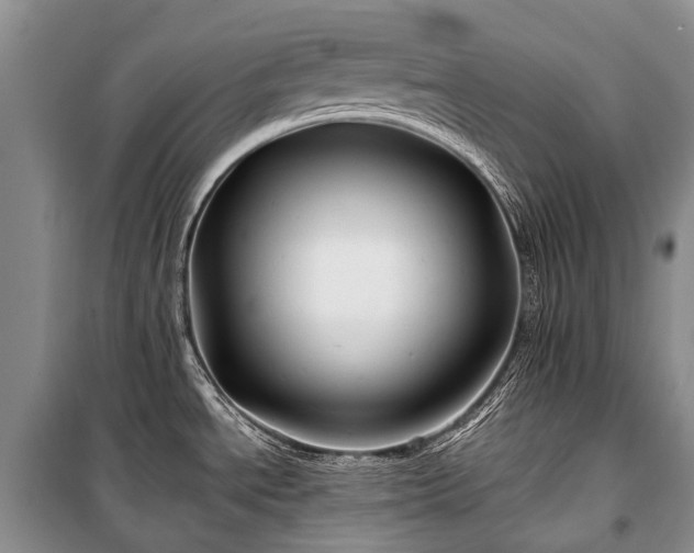 X0000100371534200806131026