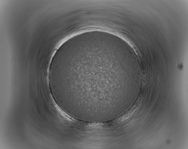 X0000100371535200806131026