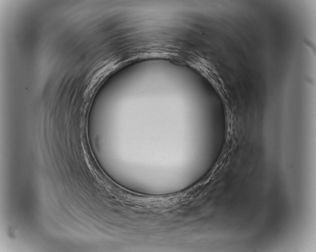 X0000100370001200806201638