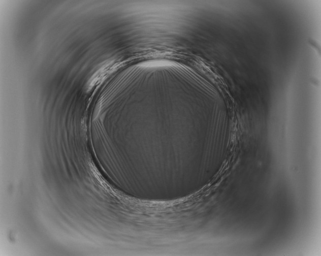 X0000100370002200806201638