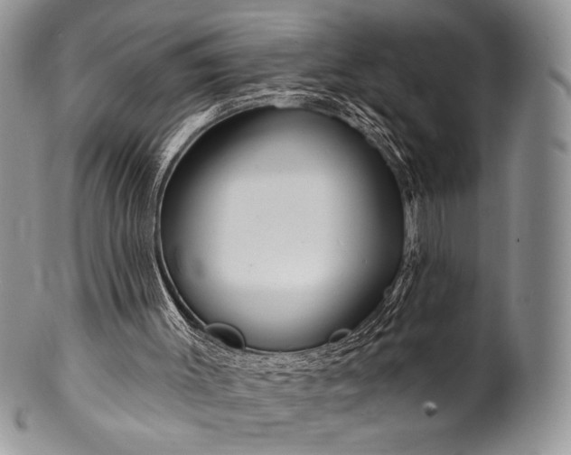 X0000100370003200806201638