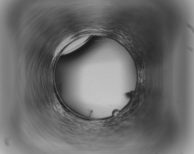 X0000100370004200806201638