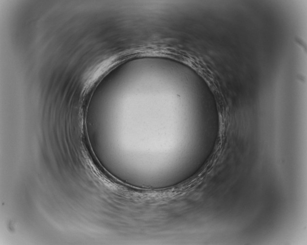 X0000100370005200806201638