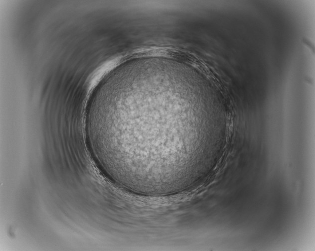 X0000100370006200806201638